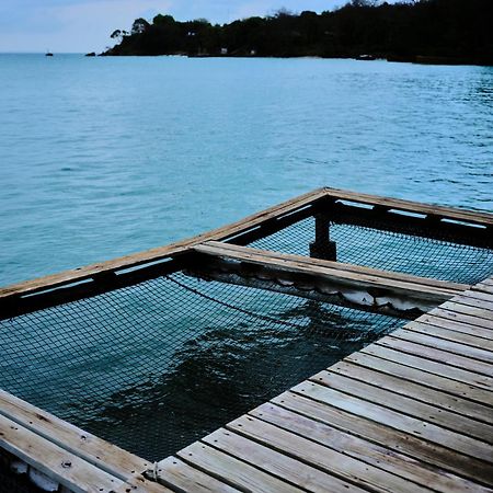 Puerto Limon Isla Fuerte Eco House 빌라 외부 사진