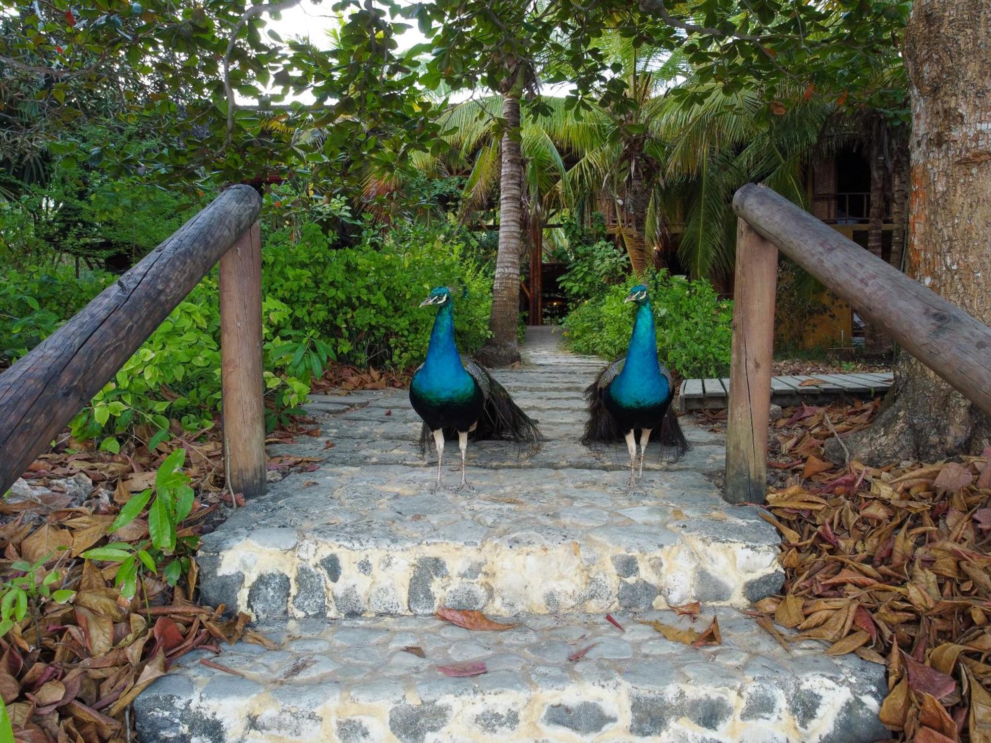 Puerto Limon Isla Fuerte Eco House 빌라 외부 사진