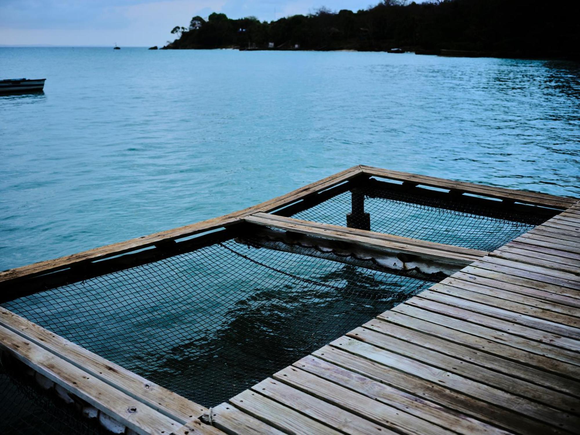 Puerto Limon Isla Fuerte Eco House 빌라 외부 사진